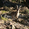 SPANJE 2011 - 435